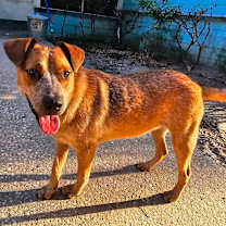 Thumbnail photo of Andy #1