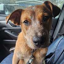 Thumbnail photo of Andy #2