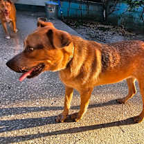 Thumbnail photo of Andy #3