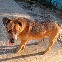 Thumbnail photo of Andy #4