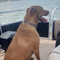 Thumbnail photo of Gavin #2