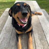 Thumbnail photo of Charlie #3