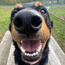 Thumbnail photo of Charlie #4