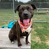 Thumbnail photo of Rayne #1