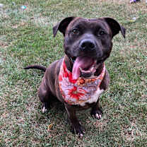 Thumbnail photo of Rayne #2