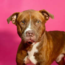 Thumbnail photo of Waldo* #1