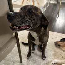 Thumbnail photo of Lucas #3