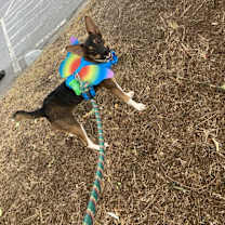 Thumbnail photo of Sally (2024) #2