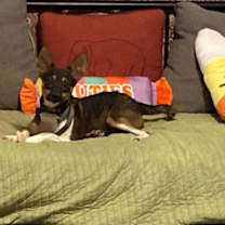 Thumbnail photo of Sally (2024) #3