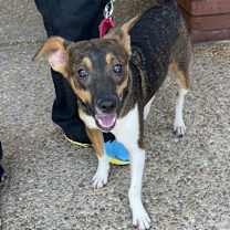 Thumbnail photo of Sally (2024) #4