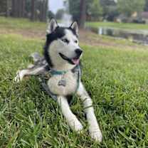 Thumbnail photo of Captain #1