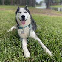 Thumbnail photo of Captain #2