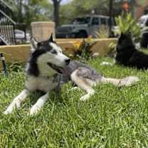 Thumbnail photo of Captain #4