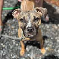 Thumbnail photo of Beanie (Pretty Girl) #3