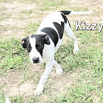 Thumbnail photo of Kizzy #4