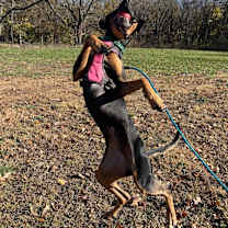 Thumbnail photo of Tandy #3