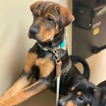 Thumbnail photo of FANTA #1