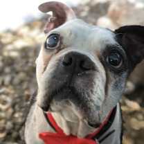 Thumbnail photo of Buster Brown #1