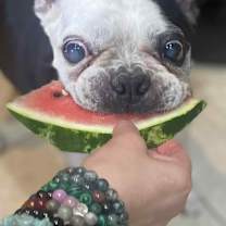 Thumbnail photo of Buster Brown #2