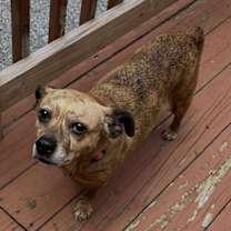 Thumbnail photo of Cleo #3