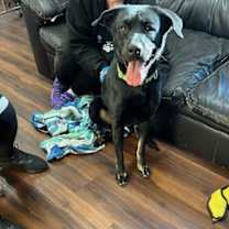 Thumbnail photo of Hannah! #2