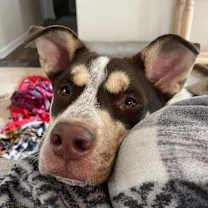 Thumbnail photo of Potter  #2