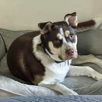 Thumbnail photo of Potter  #3