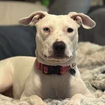 Thumbnail photo of Julie #1