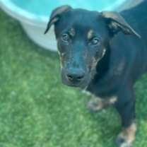 Thumbnail photo of Timberlake #2