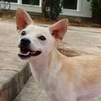 Thumbnail photo of Swiper #1