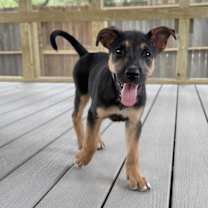 Thumbnail photo of Hitch Trail #2