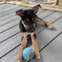 Thumbnail photo of Hitch Trail #4