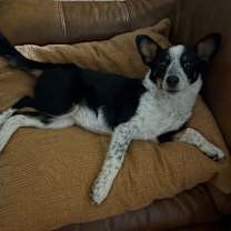 Thumbnail photo of Lucy May Olsen #4