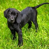 Thumbnail photo of Joseph Jude Caney #1