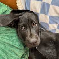 Thumbnail photo of Joseph Jude Caney #2