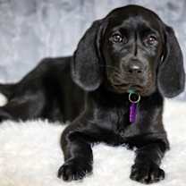 Thumbnail photo of Joseph Jude Caney #3