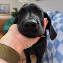 Thumbnail photo of Joseph Jude Caney #4