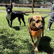 Thumbnail photo of Lucy Lighthearted in her cozy era #2