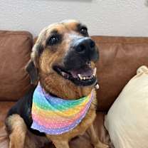 Thumbnail photo of Lucy Lighthearted in her cozy era #3