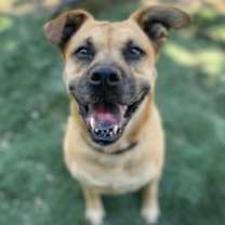 Thumbnail photo of Amber #2