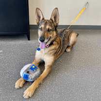 Thumbnail photo of Betty #2