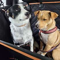 Thumbnail photo of Kai keeps the fun and love flowing #2