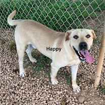 Thumbnail photo of Happy #3