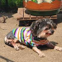 Thumbnail photo of Betty #2