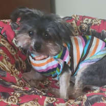 Thumbnail photo of Betty #3