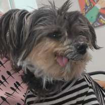 Thumbnail photo of Betty #4