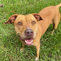 Thumbnail photo of Sassy #1