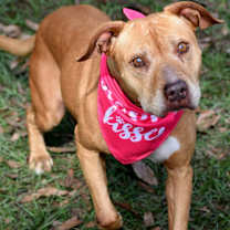 Thumbnail photo of Sassy #2