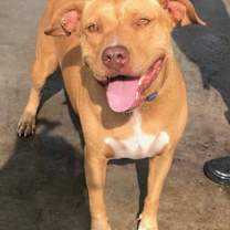 Thumbnail photo of Sassy #3