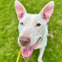 Thumbnail photo of Ravenna #1